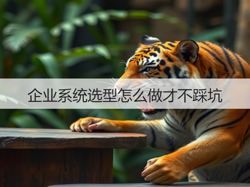 企业系统选型怎么做才不踩坑 - Meta企服知识库-图2